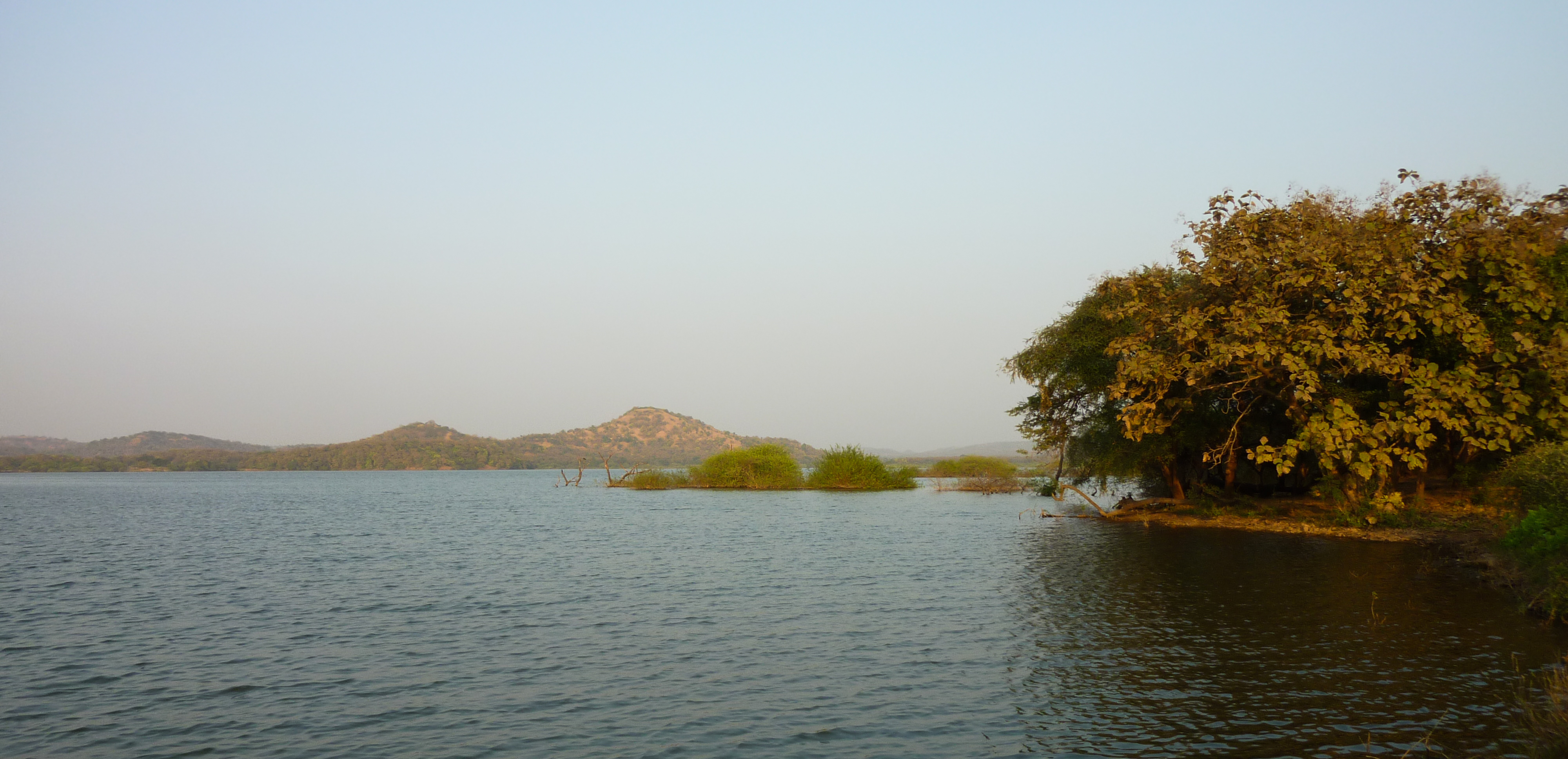 Visavadar