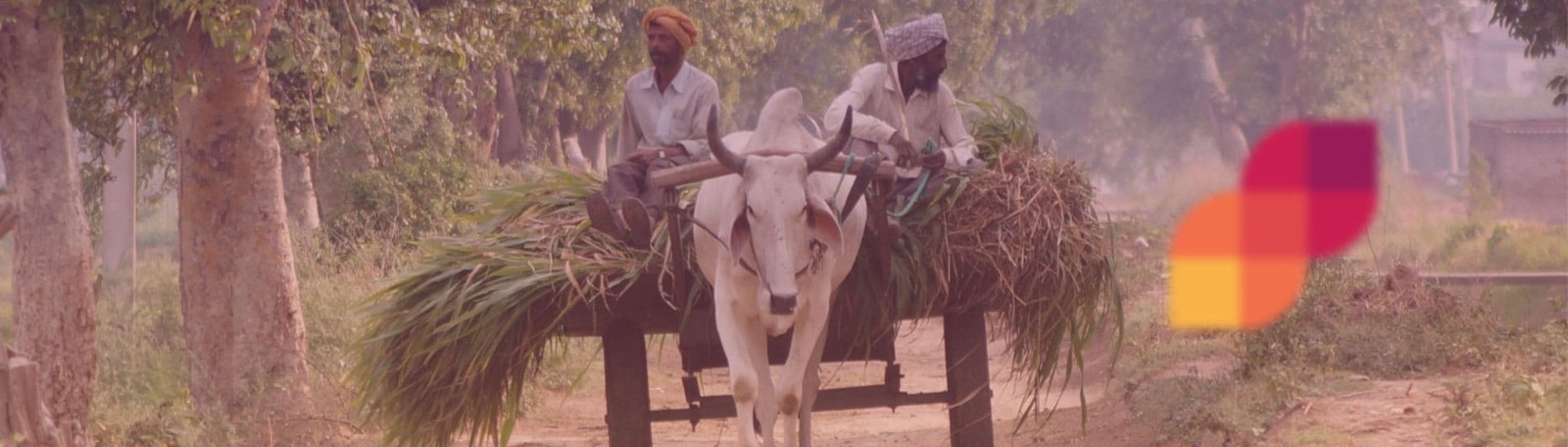 Savar Kundla