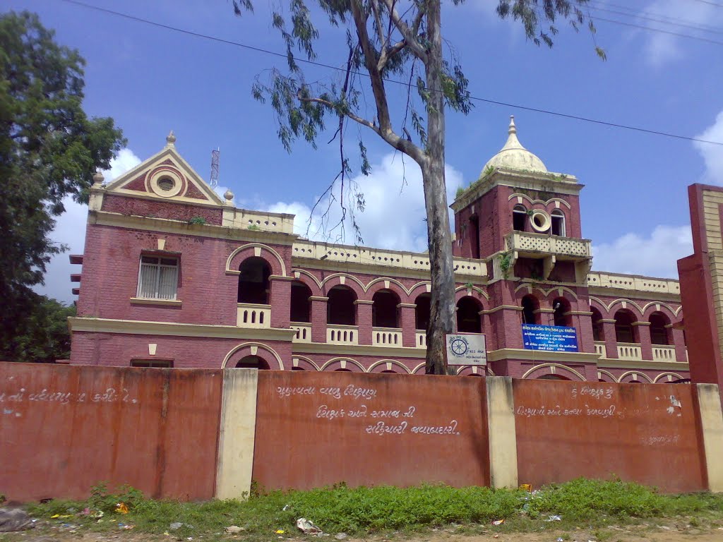 Sankheda